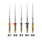 Protaper Next Maillefer