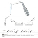 Inserto ablatore scaling compatibile modello G3-GD3
